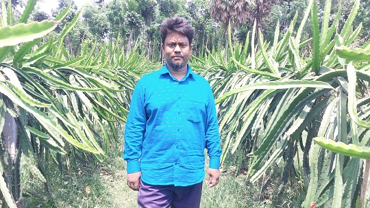 image-here